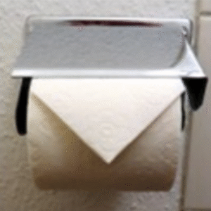 Toilet Tissue Holder