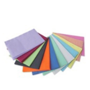 Dental Bib